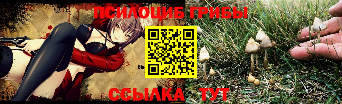 Галлюциногенные грибы MAGIC MUSHROOMS Железноводск