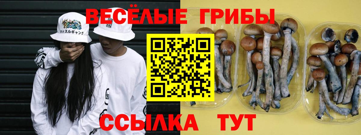 где купить наркоту  Вход с VPN  Железноводск  Галлюциногенные грибы мицелий 
